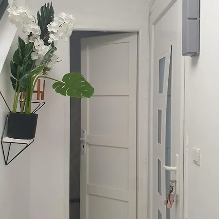 Neuw Calaisis Calais