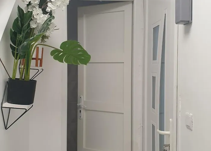 Neuw Calaisis كاليه