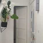Neuw Calaisis كاليه